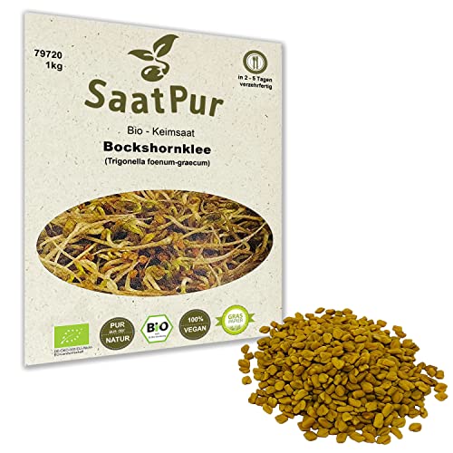 1Kg BIO Keimsprossen Bockshornklee Samen Sprossenanzucht Kressesamen Mikrogrün Microgreens von Saatzucht Bardowick