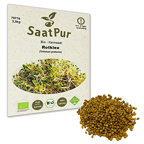 2,5 Kg BIO Keimsprossen Rotklee Keimsaat für die Sprossenanzucht Sprossen Microgreen Mikrogrün von Saatzucht Bardowick