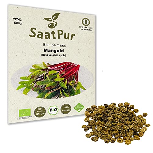 500g BIO Keimsprossen Mangold Samen Sprossensaat Microgreens Keimling Sprossen von Saatzucht Bardowick