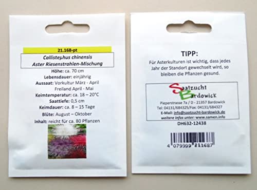 Aster Riesenstrahlen-Mischung von Saatzucht Bardowick
