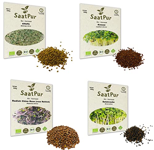 1 kg BIO Keimsprossen Mischung -4 Sorten Mix- Keimsaat 4 x 250 g Samen für die Sprossenanzucht Alfalfa, Kresse, Radies, Salatrauke Sprossen Microgreen Mikrogrün von Saatzucht Bardowick