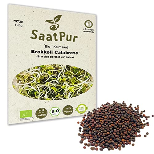 BIO Keimsaat Brokkoli Calabrese 100 g Brokkolisamen zur Sprossenzucht Sprossen Microgreen Mikrogrün von Saatzucht Bardowick