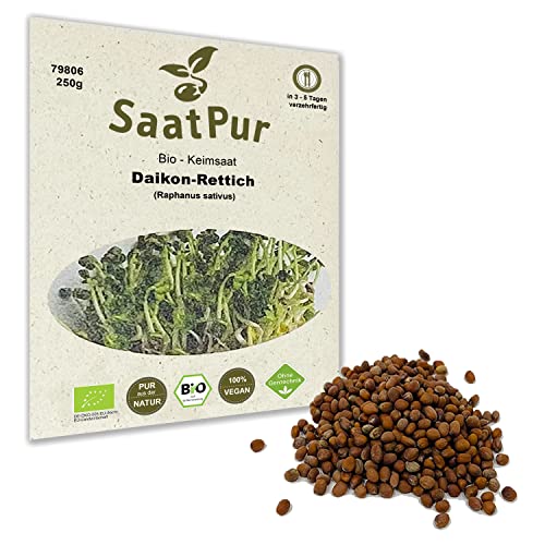 250 g BIO Keimsprossen Daikon-Rettich Samen für die Sprossenanzucht Sprossen Microgreen Mikrogrün von Saatzucht Bardowick