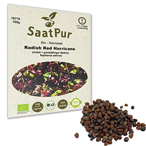 100 g BIO Keimsprossen Radies Red Hurricane Samen für die Sprossenanzucht Sprossen Microgreen Mikrogrün von Saatzucht Bardowick