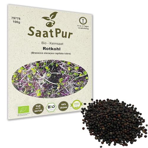 100 g BIO Keimsprossen Rotkohl Samen für die Sprossenanzucht Sprossen Microgreen Mikrogrün von Saatzucht Bardowick