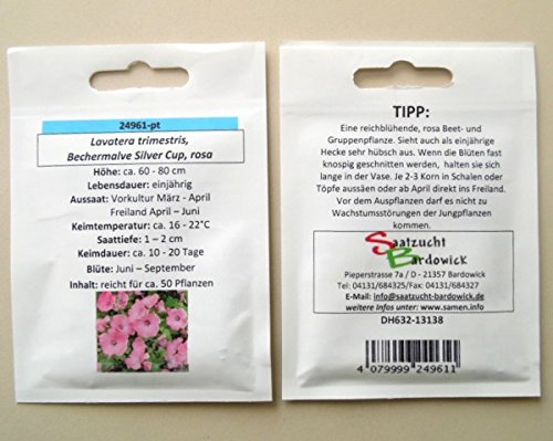 Bechermalve Silver Cup rosa Malvensaat Blumensamen für ca. 50 Pfl. reiche Blüte leichte Pflege von Saatzucht Bardowick