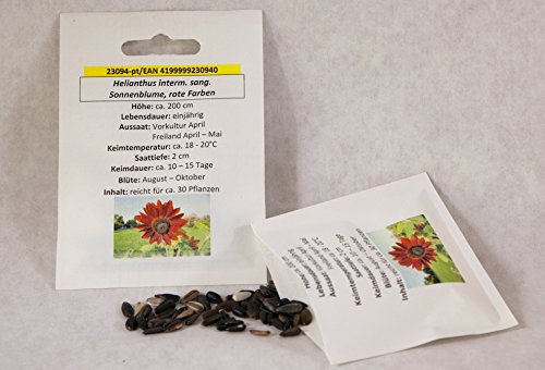 Sonnenblume rote Farben Riesensonnenblume in rot Saatgut für ca. 30 Pfl. großblumig Sonnenblumkerne von Saatzucht Bardowick