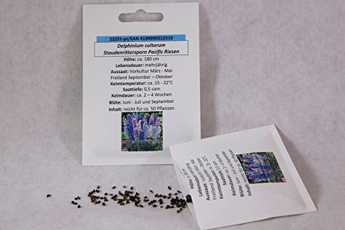 Staudenrittersporn Pacific Riesen Staudenrittersporn Pacific Riesen von Saatzucht Bardowick