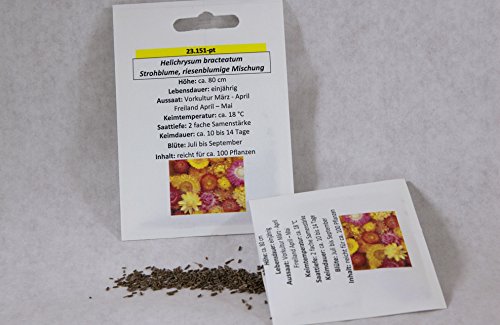 Strohblume riesenblumige Mischung Trockenblumenmischung Samen Saatgut fur ca. 100 Pfl. von Saatzucht Bardowick