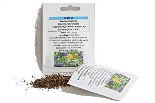 4-5 m² für Halbschatten und Schatten Wildblumen-Mischung "Blühende Waldwiese" Blumenmischung Blumensamen mehrfarbig 4-5 m² für Halbschatten und Schatten Wildblumen-Mischung "Blühende Waldwiese" Blumenmischung Blumensamen mehrfarbig von Saatzucht Bardowick