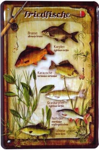 WOGEKA ART Retro Blechschild - Heimische Süßwasser Friedfische Übersicht - witziger Spruch als Geschenk-Idee zum Geburtstag Weihnachten Deko 20x30 cm Vintage-Design Metall 404 von WOGEKA ART