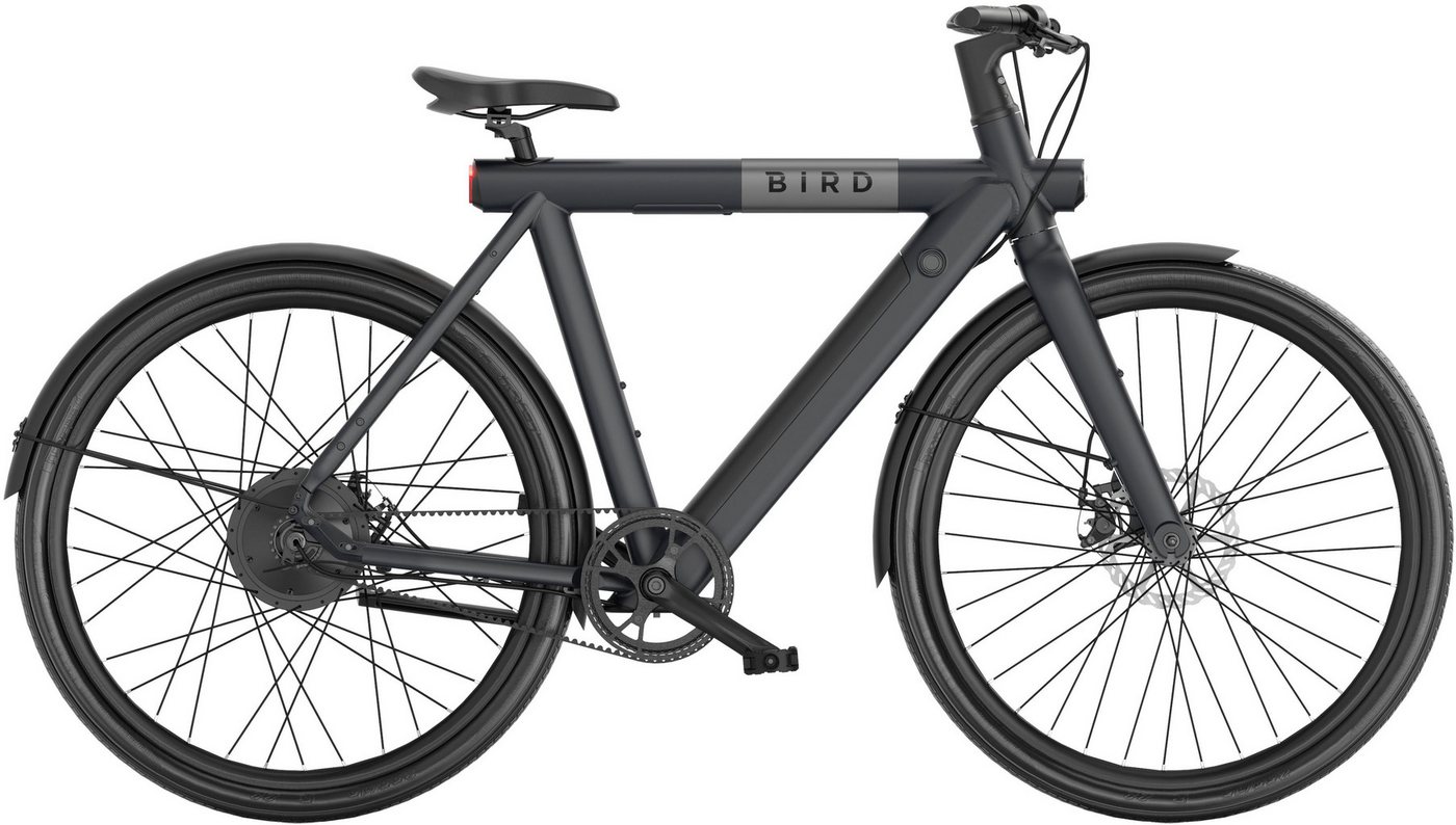 SachsenRad E-Bike Cityrad, 1 Gang, ohne Schaltung, Heckmotor, 348 Wh SachsenRad E-Bike Cityrad, 1 Gang, ohne Schaltung, Heckmotor, 348 Wh von SachsenRad