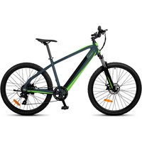 SachsenRad E-Bike Mountainbike »R8«, Reifen: 27,5", max. Geschwindigkeit: 25 km/h - grau von SachsenRad