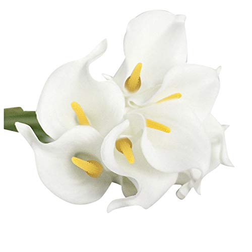 10PC Künstliche Pflanze Calla Lily künstliche Blume Desktop-Dekoration Gefälschte Blume Hause Wohnzimmer Dekoration,B von Saclerpnt