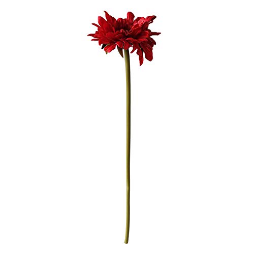 5PC Künstliche Pflanze Gerbera Kunstblume Urlaub Kunstblumen Dekoration Hause Wohnzimmer Dekoration,Rot von Saclerpnt