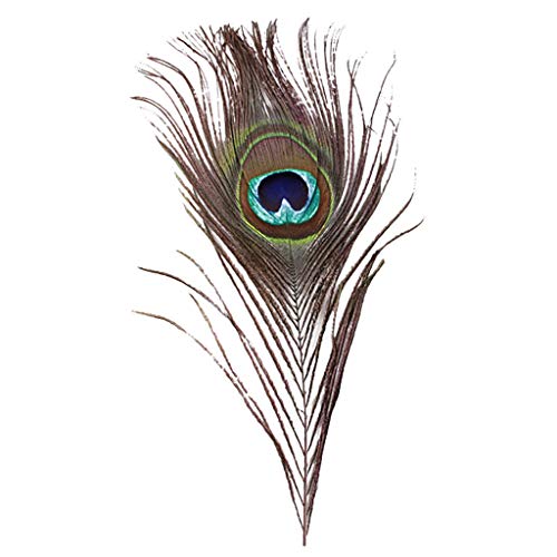 Saclerpnt Pfauenfeder, Federn Reine natürliche Pfauenfedern große Augen Pfauenfeder Vase Hauptdekoration DIY Zubehör Pfauenfeder(10PCS) von Saclerpnt