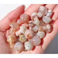 Mini Achat Pilz Schnitzen, Kristallpilz, Pilze, Kristallpilz Neue Größere Größe Mini Achat Pilz Schnitzen, Kristallpilz, Pilze, Kristallpilz Neue Größere Größe von SacredValleyCrystals