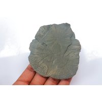 Natürliche Pyrit Sonne/Münze Natürlicher Scheibchen Gold Wohlstand Warme Strahlende Energie Schutzstein Kristall Für Fülle von SadiqGemsandMinerals