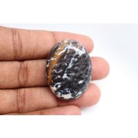 Natürlicher Palmwurzel Achat Palmstein Edelstein, Achat, Kleiner Palm Wurzel Cabs, Stein Taschenstein von SadiqGemsandMinerals