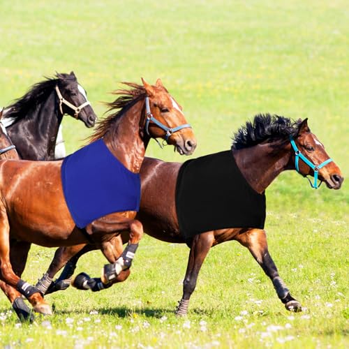 Sadnyy Stretch-Schulterschutz für Pferde, elastisches Polyester, abriebfest, Brustschutz, Widerrist-Schulterschutz, bequeme Körperpflege, Schutz, Größe M, Schwarz + Blau, 2 Stück Sadnyy Stretch-Schulterschutz für Pferde, elastisches Polyester, abriebfest, Brustschutz, Widerrist-Schulterschutz, bequeme Körperpflege, Schutz, Größe M, Schwarz + Blau, 2 Stück von Sadnyy
