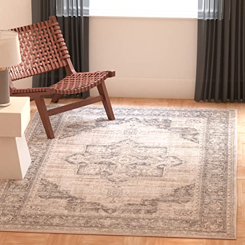 SAFAVIEH Traditionell Teppich für Wohnzimmer, Esszimmer, Schlafzimmer - Brentwood Collection, Kurzer Flor, Silber und Elfenbein, 91 X 152 cm von Safavieh