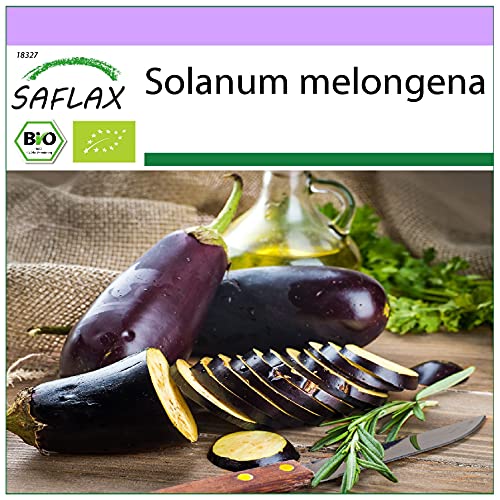 SAFLAX - BIO - Aubergine - Long Purple - 20 Samen - Solanum melongena von Saflax