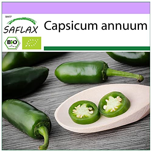 SAFLAX - BIO - Chili - Early Jalapeno - 20 Samen - Capsicum annuum von Saflax