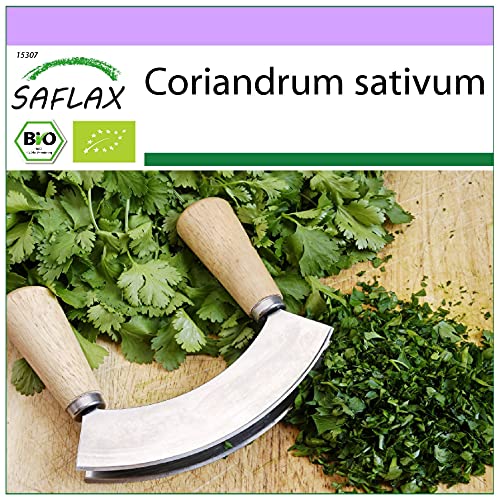 SAFLAX - BIO - Koriander - 150 Samen - Coriandrum sativum von Saflax