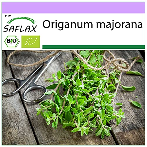 SAFLAX - BIO - Majoran - 700 Samen - Origanum majorana von Saflax