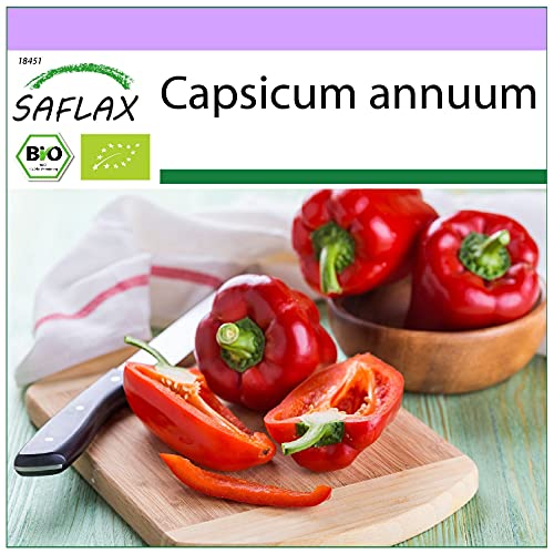 SAFLAX - BIO - Paprika - California Wonder - Rot - 20 Samen - Capsicum annuum von Saflax