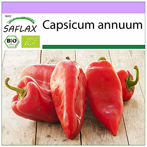 SAFLAX - BIO - Paprika - Long Red Marconi - 20 Samen - Capsicum annuum von Saflax