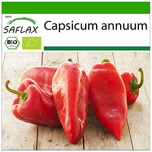 SAFLAX - BIO - Paprika - Long Red Marconi - 20 Samen - Mit keimfreiem Anzuchtsubstrat - Capsicum annuum von Saflax