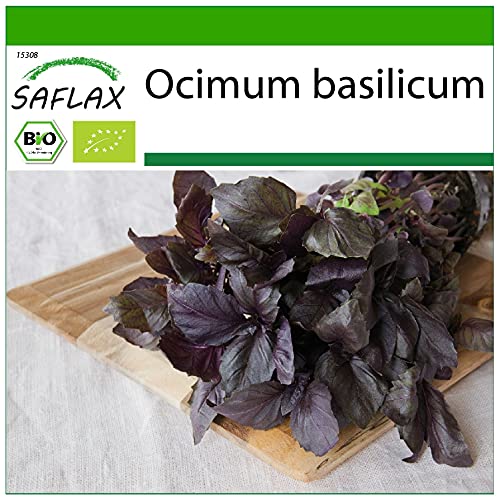 SAFLAX - BIO - Rotes Basilikum - 400 Samen - Mit keimfreiem Anzuchtsubstrat - Ocimum basilicum von Saflax