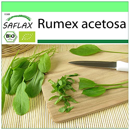 SAFLAX - BIO - Sauerampfer - 400 Samen - Rumex acetosa von Saflax