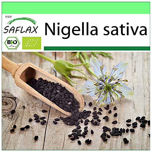 SAFLAX - BIO - Schwarzkümmel - 300 Samen - Nigella sativa von Saflax