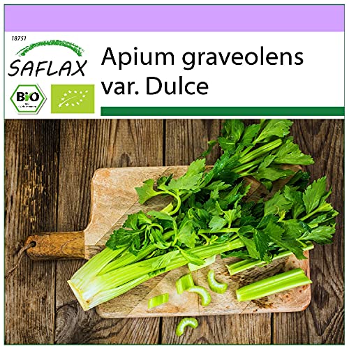 SAFLAX - BIO - Stangensellerie - Tall Utah - 500 Samen - Apium graveolens von Saflax