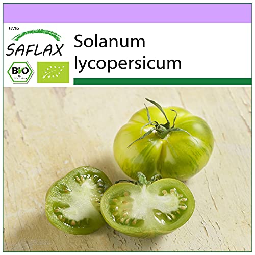 SAFLAX - BIO - Tomate - Green Zebra - 10 Samen - Solanum lycopersicum von Saflax
