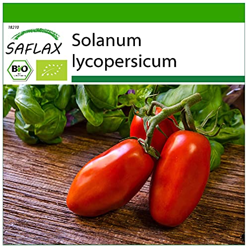 SAFLAX - BIO - Tomate - San Marzano - 15 Samen - Solanum lycopersicum von Saflax
