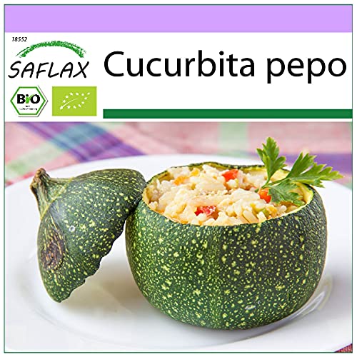 SAFLAX - BIO - Zucchini - Tondo di Nizza - 5 Samen - Cucurbita pepo von Saflax