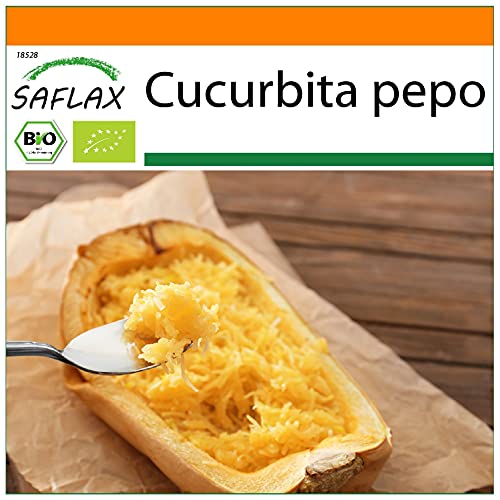 SAFLAX - Garden in the Bag - BIO - Kürbis - Spaghetti - 5 Samen - Mit Anzuchtsubstrat im praktischen, selbst aufstellenden Beutel - Cucurbita pepo von Saflax