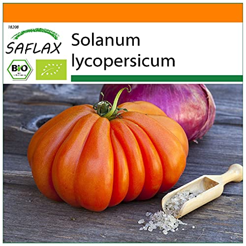 SAFLAX - Garden in the Bag - BIO - Tomate - Ochsenherz - 10 Samen - Mit Anzuchtsubstrat im praktischen, selbst aufstellenden Beutel - Solanum lycopersicum von Saflax