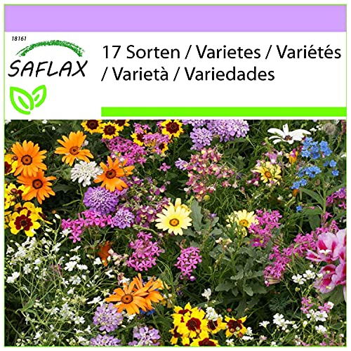 SAFLAX - Wildblumen: Golferträume - 1000 Samen - 17 Wildflower Mix von Saflax