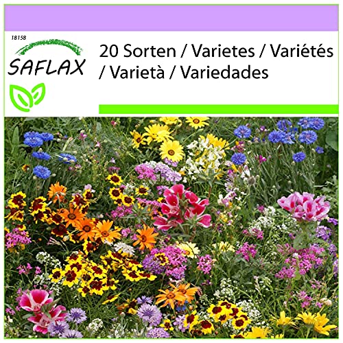 SAFLAX - Wildblumen: Große Gartenzwerge - 1000 Samen - 20 Wildflower Mix von Saflax