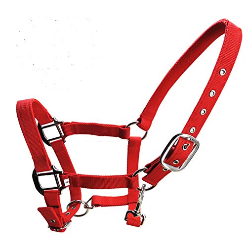 SagaSave Pferde-Halfter doppellagig verdicktes Gurtband, 3 Farben und Größen, Halfter aus Fleece, blau/rot/schwarz SagaSave Pferde-Halfter doppellagig verdicktes Gurtband, 3 Farben und Größen, Halfter aus Fleece, blau/rot/schwarz von SagaSave