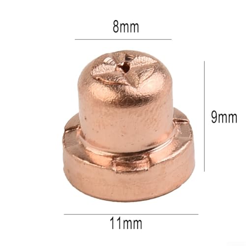 20 Stück Plasmaschneider Verbrauchsmaterialien für PT31 CT312 CUT4050 Taschenlampe inkl. Spitzen Düsenelektroden Shield Cups Ringe funktioniert mit/L TEC PT31 JG 40 WSD LG40 20 Stück Plasmaschneider Verbrauchsmaterialien für PT31 CT312 CUT4050 Taschenlampe inkl. Spitzen Düsenelektroden Shield Cups Ringe funktioniert mit/L TEC PT31 JG 40 WSD LG40 von SageFurned
