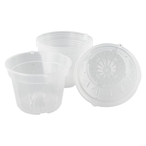 5 transparente Orchideentöpfe mit Löchern für verbesserte Drainage und Wurzelsichtbarkeit in kleinen bis XL-Größen (Medium) von SageFurned