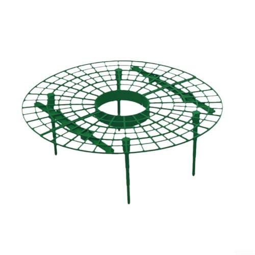 Gartenstützsystem, 10 Stück, Erdbeerstützen, um Ihre Pflanzen und Beeren zu erhöhen von SageFurned