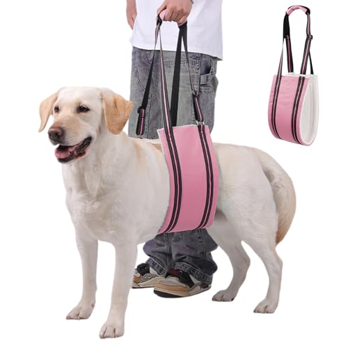 Hebegeschirr, Mobilitätshilfe für mittelgroße und große Hunde, verstellbarer Hilfsgurt für verletzte, behinderte und ältere Hunde, Rosa, Größe M Hebegeschirr, Mobilitätshilfe für mittelgroße und große Hunde, verstellbarer Hilfsgurt für verletzte, behinderte und ältere Hunde, Rosa, Größe M von SahCognitual