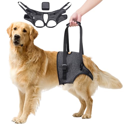 Hebegeschirr für Hunde, Stützgeschirr für Rücken und Beine, verstellbarer Hilfsgurt für verletzte, behinderte und ältere Hunde, Größe L Hebegeschirr für Hunde, Stützgeschirr für Rücken und Beine, verstellbarer Hilfsgurt für verletzte, behinderte und ältere Hunde, Größe L von SahCognitual