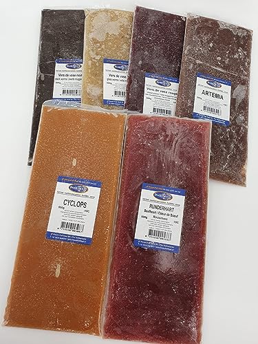 Frostfutter für Zierfische 5 x große 500g Tafel Verschiedene Sorten Freie Auswahl Versand mit Trockeneis von SAHAWA